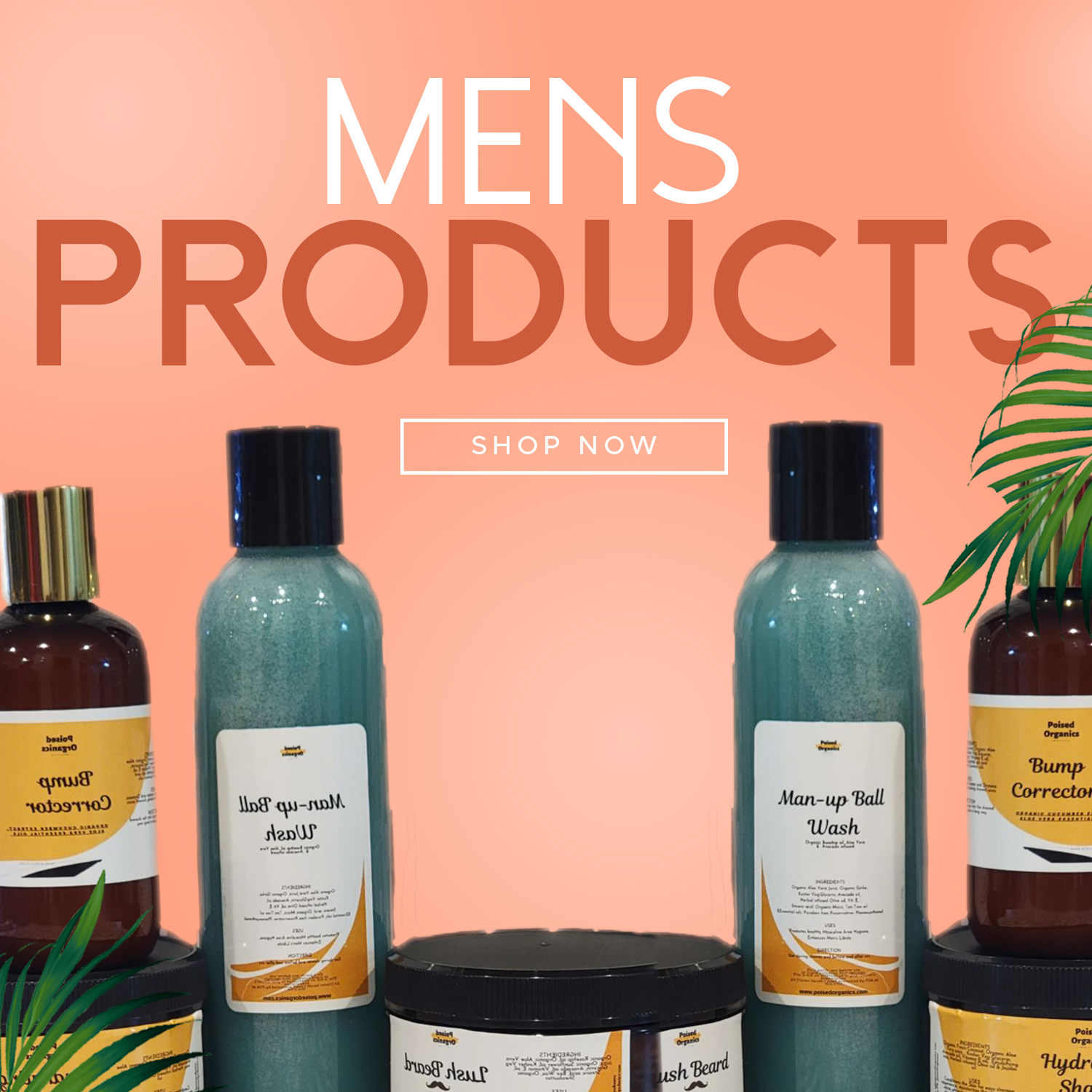 Men's Hygiene Products
